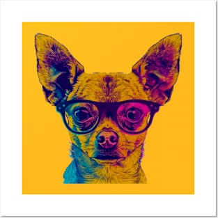 Tiny Trendsetter: The Chihuahua with Big Style! Posters and Art